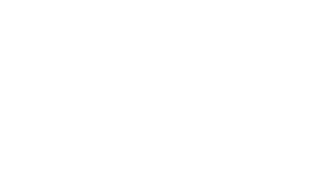 Andromeda Capital